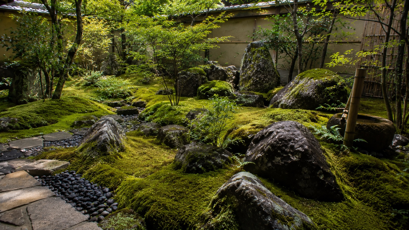苔庭